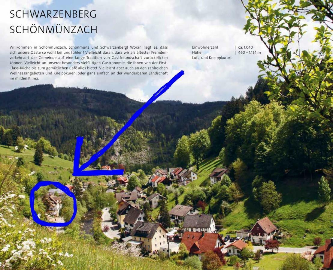 Adieu Alltag: Pension Oesterle Im Schwarzwald Schonmunzach Exterior photo