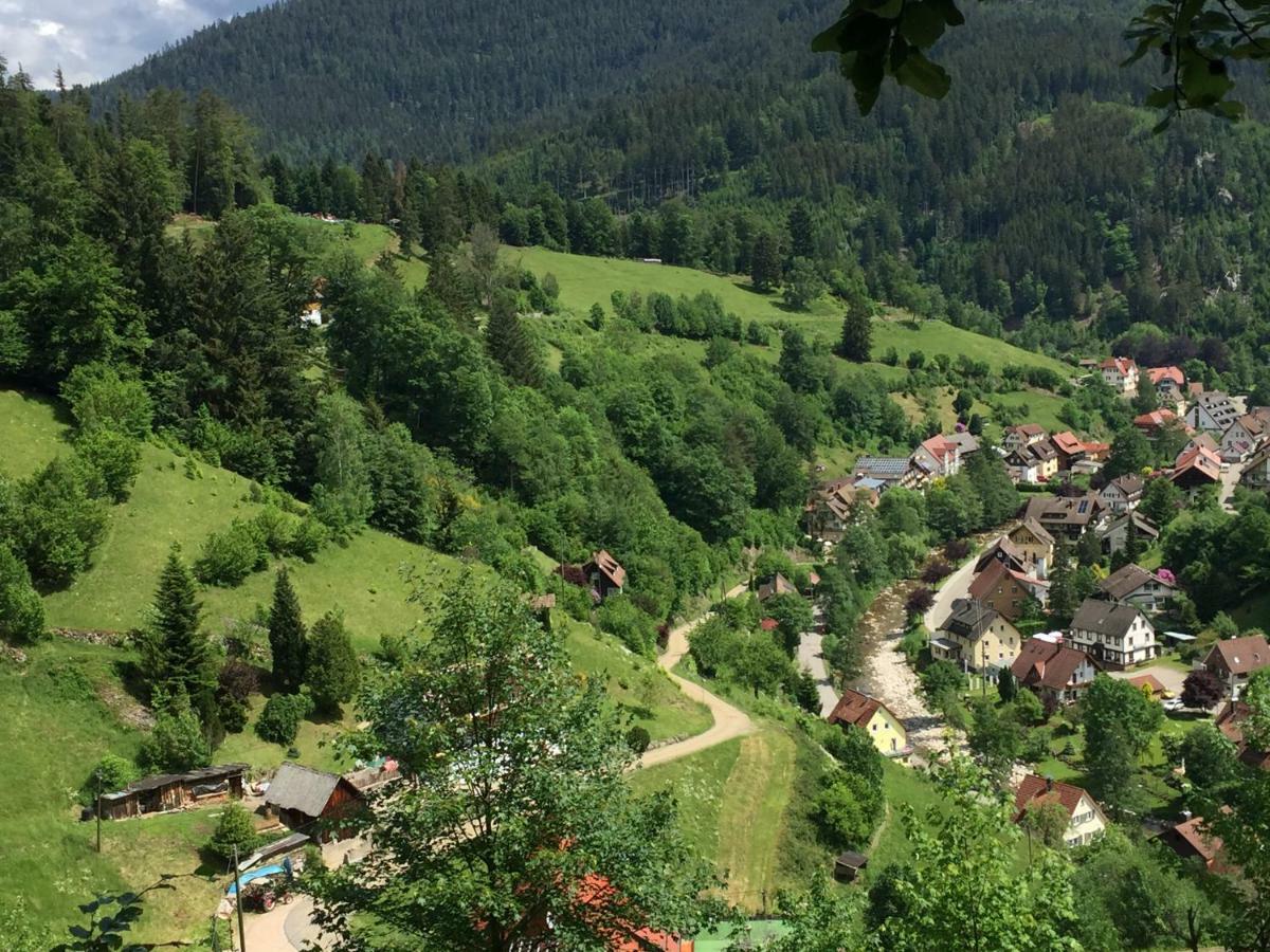 Adieu Alltag: Pension Oesterle Im Schwarzwald Schonmunzach Exterior photo
