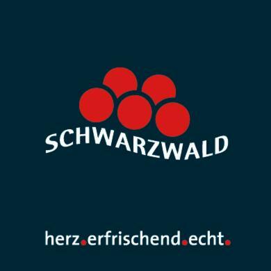 Adieu Alltag: Pension Oesterle Im Schwarzwald Schonmunzach Exterior photo